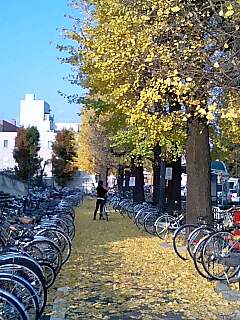 071202_1458~0001.jpg
