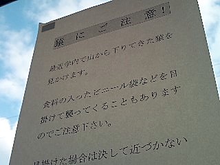 090924_1603~01.jpg