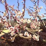 160228-2.jpg