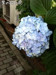 s_201206182349254fdf3ff5a64be.jpeg